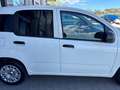 Fiat Panda Van 1.3 Mjt Pop 80cv 2p.Ti E6 Wit - thumbnail 15