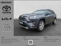 Toyota RAV 4 Hybrid 4x4 Team Deutschland 2.5 VVT-i El. Heckklap Grau - thumbnail 1