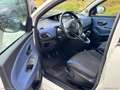 Lancia Ypsilon 1.2 69 CV 5p. GPL Ecochic Gold Weiß - thumbnail 5