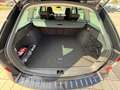 Skoda Octavia Combi Soleil NAVI|ACC|LED|beh.Frontsch. Schwarz - thumbnail 15