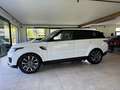 Land Rover Range Rover Sport 3,0 TDV6 S Aut.* GARANTIE/FINANZIERUNG ab € 449... Weiß - thumbnail 3