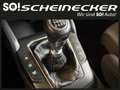 Ford Focus 1,0 EcoBoost Active Schwarz - thumbnail 13