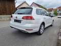 Volkswagen Golf VII Var 1.4TSI Highl. VIRT+LED+NAVI+AHK+ACC Weiß - thumbnail 4