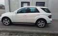 Mercedes-Benz ML 350 ML -Klasse ML 350 CDI 4Matic Bílá - thumbnail 3