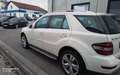 Mercedes-Benz ML 350 ML -Klasse ML 350 CDI 4Matic Bílá - thumbnail 4