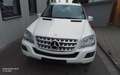 Mercedes-Benz ML 350 ML -Klasse ML 350 CDI 4Matic Bílá - thumbnail 1