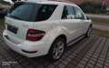 Mercedes-Benz ML 350 ML -Klasse ML 350 CDI 4Matic Bílá - thumbnail 8