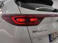 Kia Sportage 1.6 CRDI MHEV BUSINESS 2WD DCT Bianco - thumbnail 14