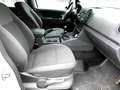 Volkswagen Amarok 4X4 Seilwinde Standheizung Klima AHK bijela - thumbnail 13