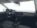 Skoda Fabia 1.0 TSI EVO 95 CV Selection Argento - thumbnail 6