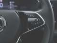 Skoda Fabia 1.0 TSI EVO 95 CV Selection Argento - thumbnail 17