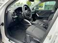 Audi Q2 35 TFSI Pro Line 150pk Automaat / Stoelverwaming / Alb - thumbnail 5