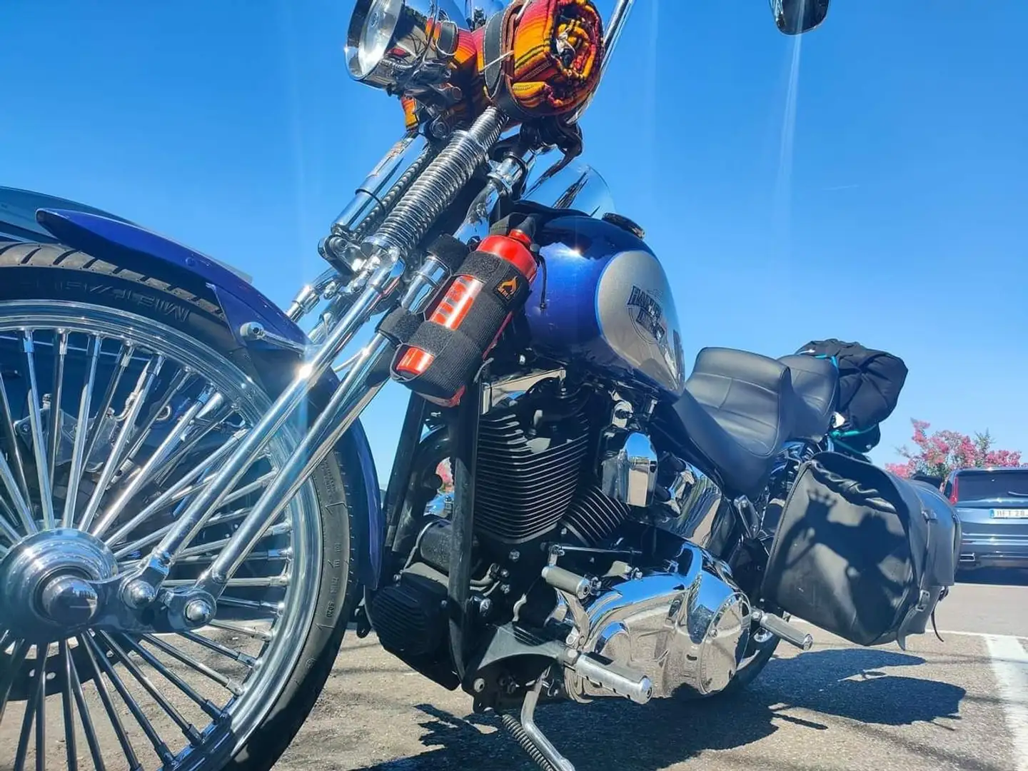 Harley-Davidson Softail Argento - 2