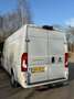 Fiat Ducato 35H 2.2 MultiJet L4H2 2022 BUS Grau - thumbnail 8