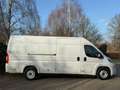 Fiat Ducato 35H 2.2 MultiJet L4H2 2022 BUS Grau - thumbnail 5