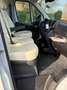 Fiat Ducato 35H 2.2 MultiJet L4H2 2022 BUS Grau - thumbnail 9