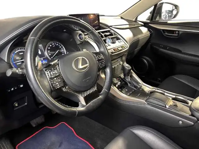 Lexus NX view 11
