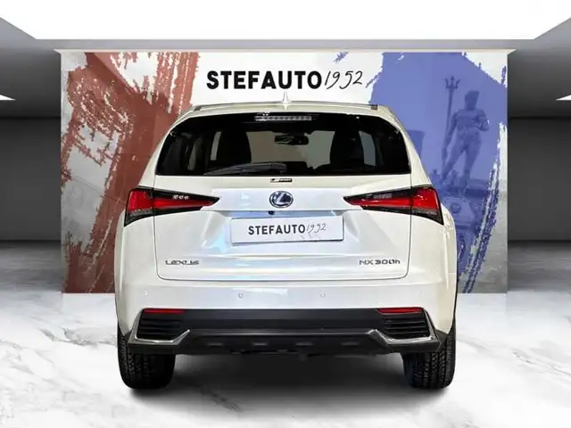 Lexus NX view 6