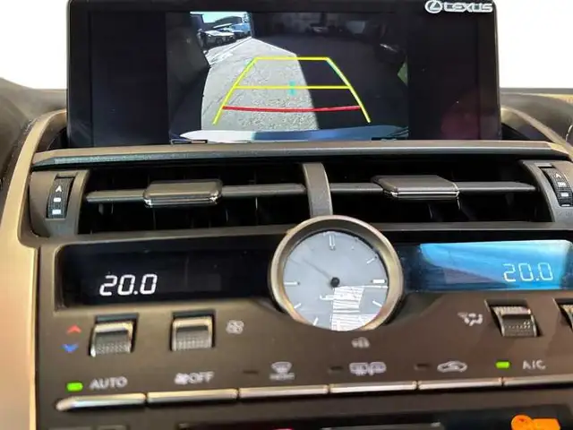 Lexus NX view 17