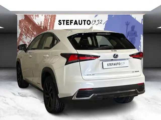 Lexus NX view 5
