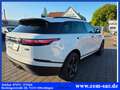 Land Rover Range Rover Velar S *Apple Car Play*Keyless*LED* Weiß - thumbnail 7
