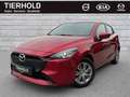 Mazda 2 G75 Prime-Line Bluetooth Allwetterreifen LED Rouge - thumbnail 2