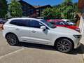 Volvo XC60 XC60 D4 AWD Geartronic Inscription Weiß - thumbnail 5