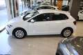 Volkswagen Polo 1.0 TSI Advance 70kW Blanco - thumbnail 11