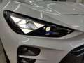 CUPRA Terramar Edge eHYBRID Matrix/ACC/HuD/360°/1.30Ga Weiß - thumbnail 22