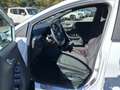 Ford Puma II 2020 1.5 ecoblue ST-Line s&s 120cv Weiß - thumbnail 14