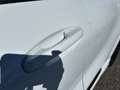 Ford Puma II 2020 1.5 ecoblue ST-Line s&s 120cv Weiß - thumbnail 10