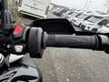 Triumph Tiger 1200 GT PRO MY26 Adaptives Fahrwerk Černá - thumbnail 15