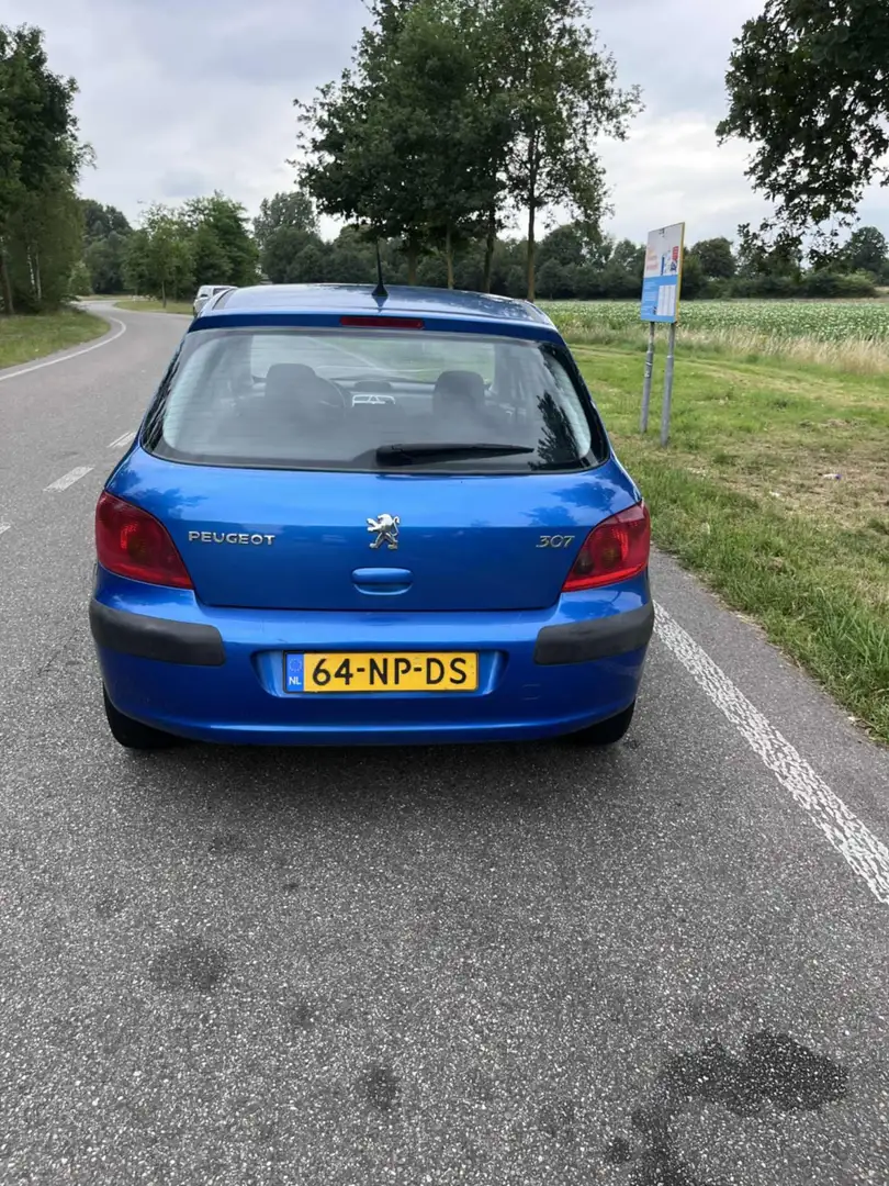 Peugeot 307 90 Grand Filou Cool - 2