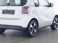 smart forTwo EQ Passion CAVO DA 22KW DI RICARICA Bianco - thumbnail 4