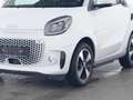smart forTwo EQ Passion CAVO DA 22KW DI RICARICA Bianco - thumbnail 3