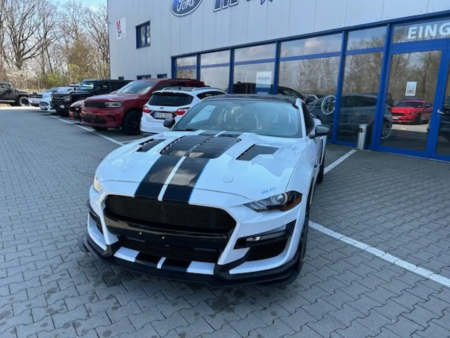 Ford Mustang Shelby GT500 Look Navi  Leder Sitzheizung Blanc - 1