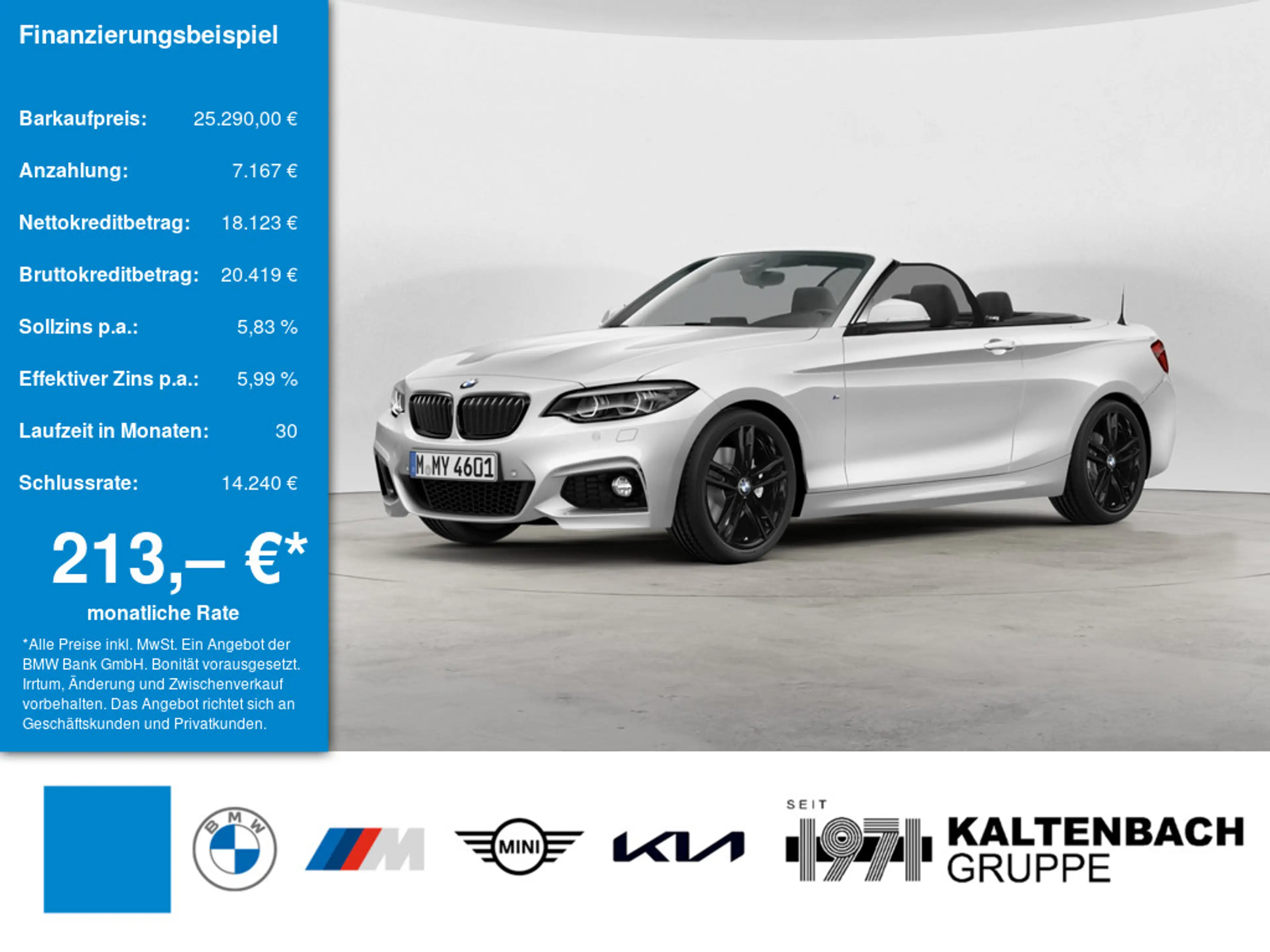 BMW 220 i Cabrio M-Sport FACEL. LED KAMERA SHZ PDC