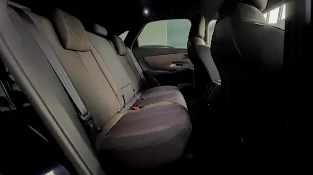 DS Automobiles DS 7 Crossback view 12