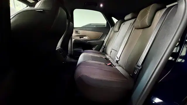 DS Automobiles DS 7 Crossback view 11