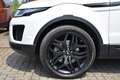 Land Rover Range Rover Evoque 2.0 TD4 4WD| Automaat| Navi| Black pack| Camera Wit - thumbnail 16