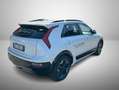 Kia e-Niro Niro EV 64,8 kWh Evolution Bianco - thumbnail 2