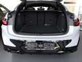 BMW X4 M40d AT Innovationsp. Sport Aut. Panorama AHK Grau - thumbnail 10