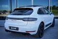 Porsche Macan GTS Aut. Blanco - thumbnail 12