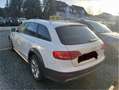 Audi A4 allroad A4 allroad quattro 2.0 TDI DPF S tronic Weiß - thumbnail 8