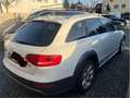 Audi A4 allroad A4 allroad quattro 2.0 TDI DPF S tronic Weiß - thumbnail 5