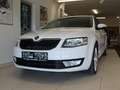 Skoda Octavia Elegance 4x4 Weiß - thumbnail 2