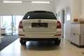 Skoda Octavia Elegance 4x4 Weiß - thumbnail 5