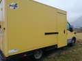 Iveco Daily 35C12CA Giallo - thumbnail 2