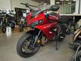 Triumph sofort verfügbar Rosso - thumbnail 3