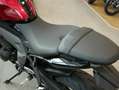 Triumph sofort verfügbar Rot - thumbnail 7